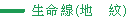 生命線（地　紋）