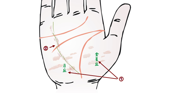 掌紋分析：肝病掌徵
